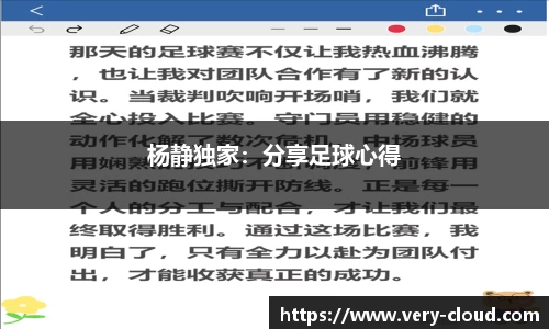 杨静独家：分享足球心得