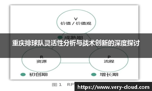 重庆排球队灵活性分析与战术创新的深度探讨