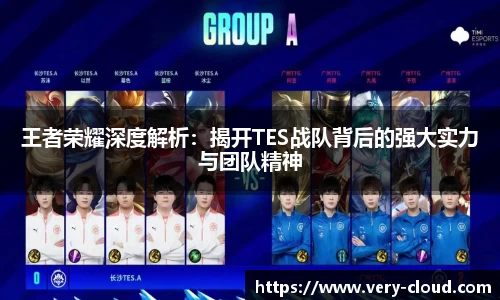 王者荣耀深度解析：揭开TES战队背后的强大实力与团队精神