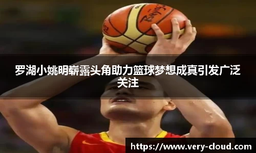 罗湖小姚明崭露头角助力篮球梦想成真引发广泛关注