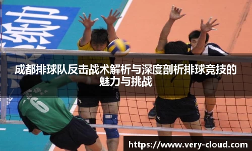 成都排球队反击战术解析与深度剖析排球竞技的魅力与挑战