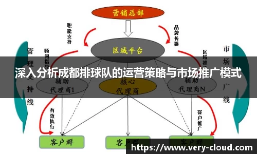 深入分析成都排球队的运营策略与市场推广模式